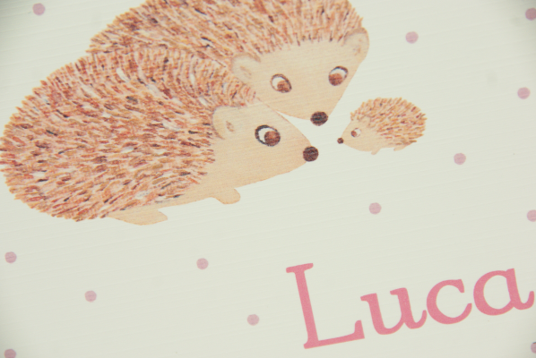 geboortekaartje luca lichtroze